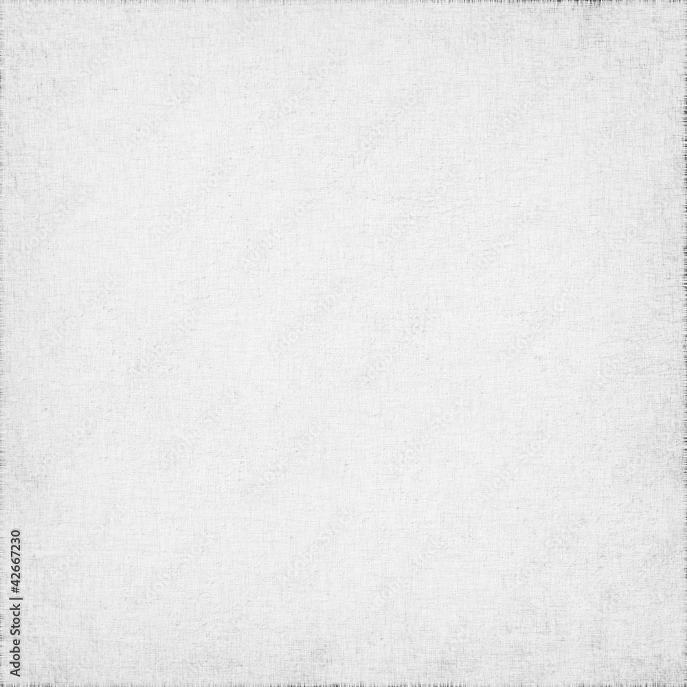 white canvas with delicate grid grunge background or texture white canvas with delicate grid grunge background or texture