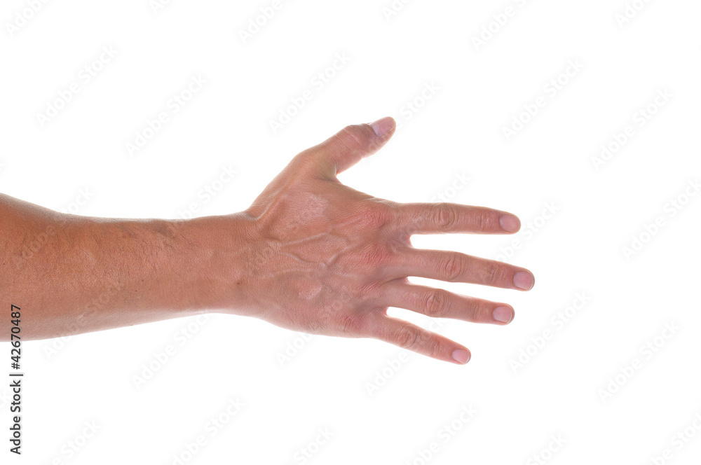 hand