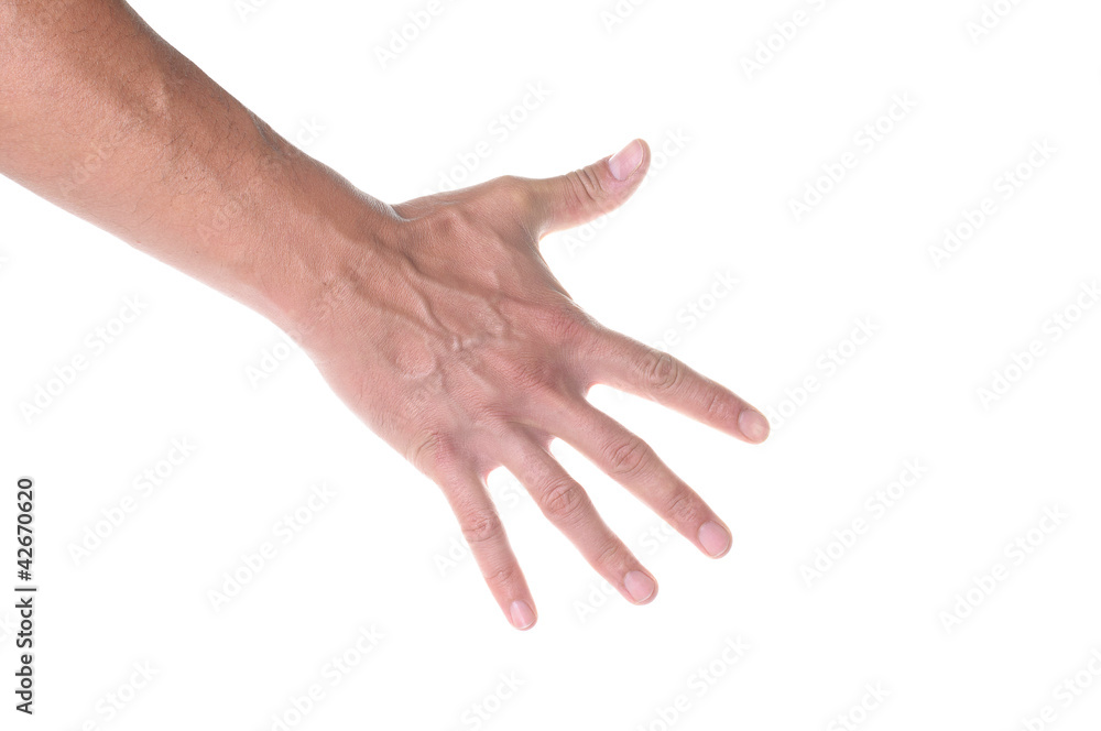 hand