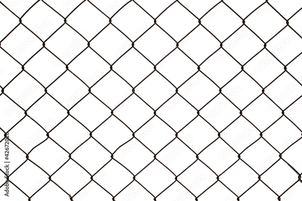 Wire netting Wire netting