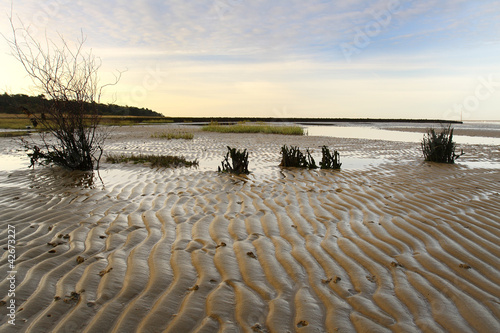 Im Wattenmeer photo