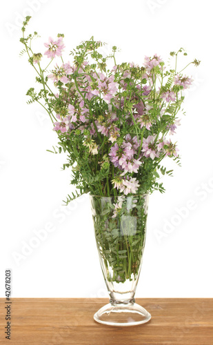 bouquet of vicia in a transparent vase