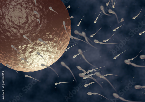 Fototapeta 3d illustration of spermatozoa fecundating an ovule