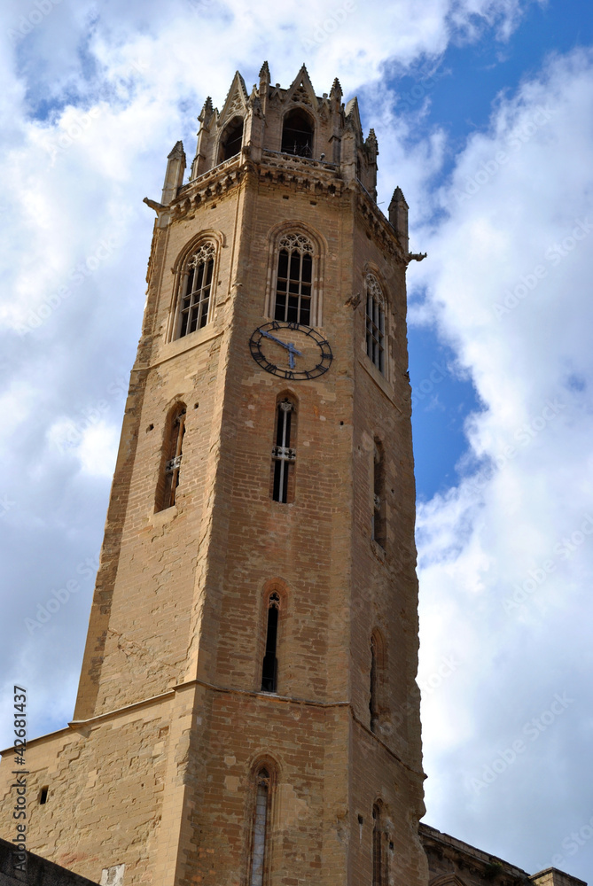 The Cathedral of St. Mary of La Seu Vella