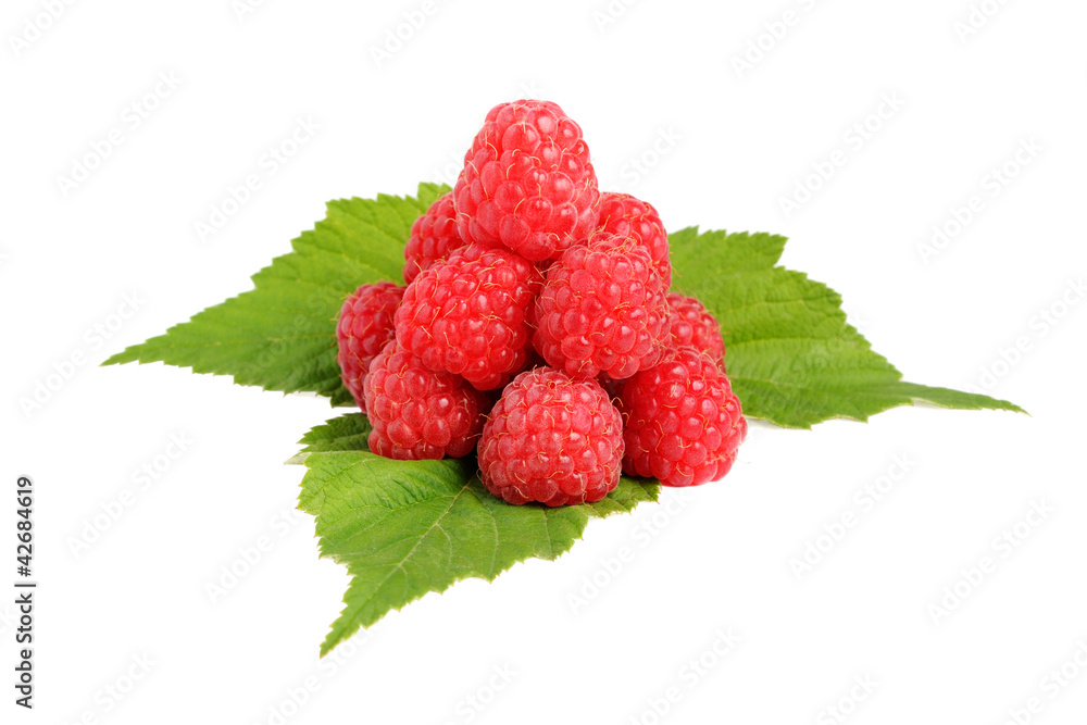 Raspberry isolated on white background Raspberry isolated on white background
