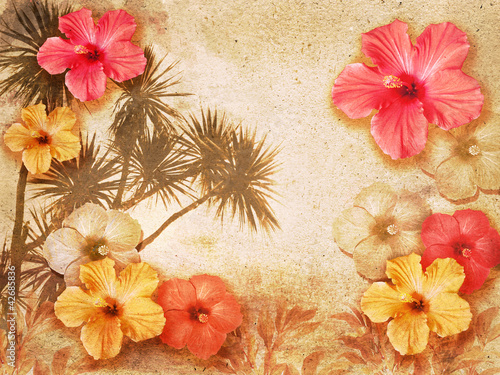 tropical hibiscus background