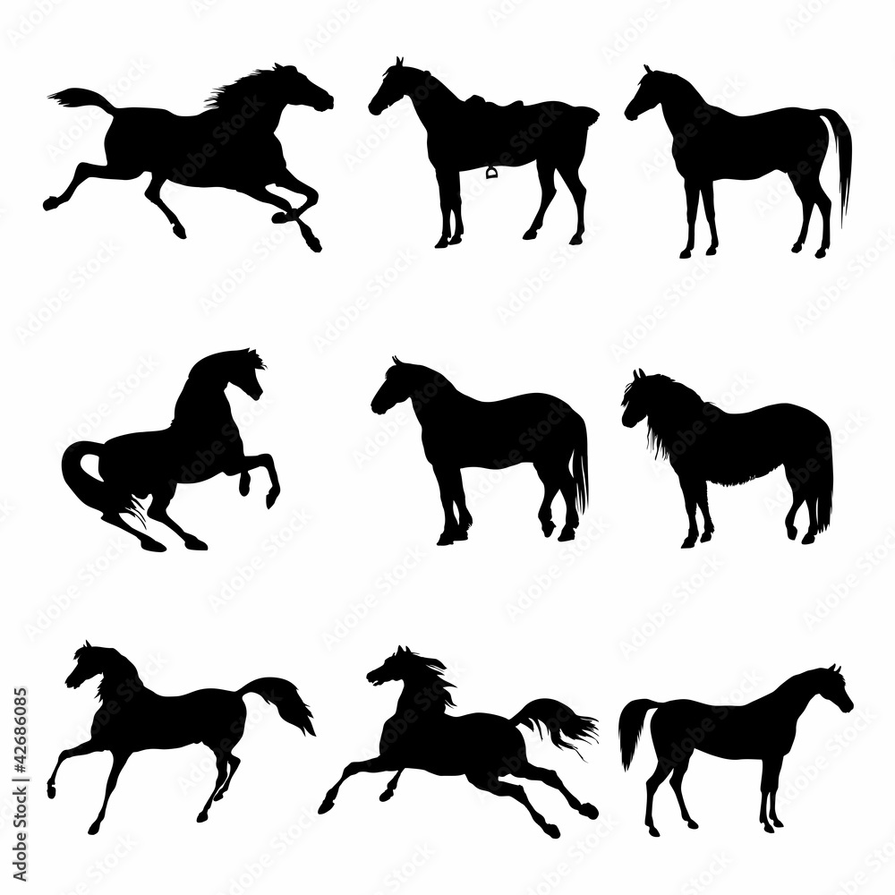 Horses Galloping and Standing Silhouette detailed
