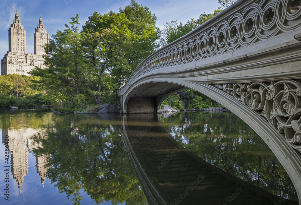 Fototapeta premium Central Park bow bridge