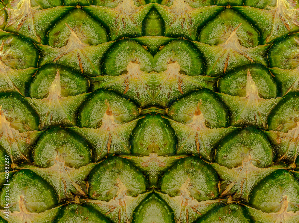Fototapeta premium Pineapple skin close up Peel Background