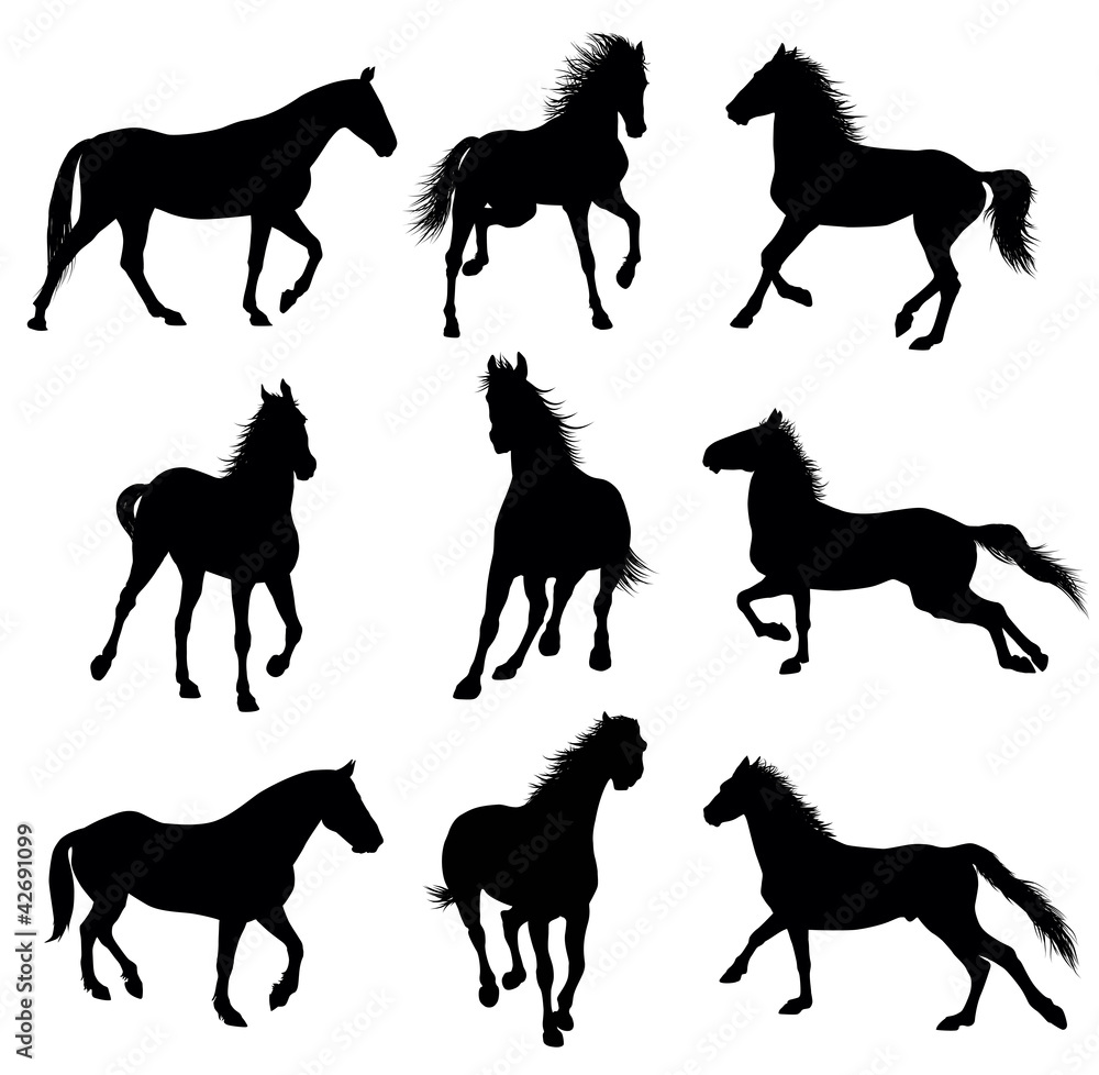 Horse detailed silhouettes set