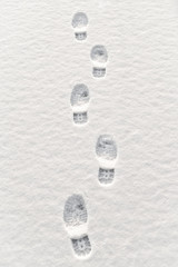 Fotobehang Zuidpoolgebied Voetstappen in verse sneeuw  © Creatus