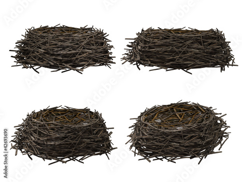Nest, isolated on white background