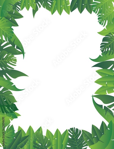 Tropical leaf background