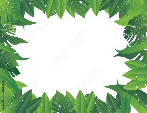 Tropical leaf background