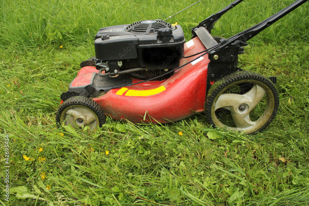 Fototapeta premium lawn mower cutting grass