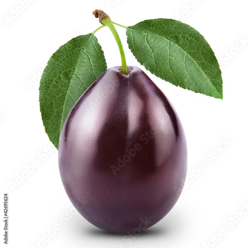 plum isolated