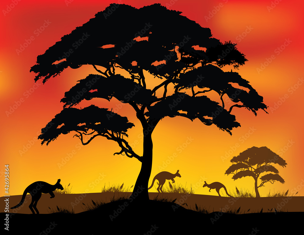 Safari background Safari background
