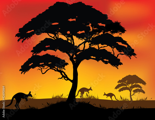 Safari background