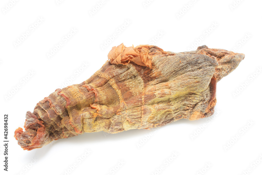 Pousse de bambou Pousse de bambou