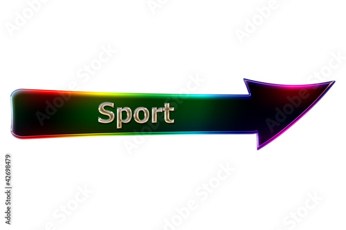 Obraz na plátně Flecha sport