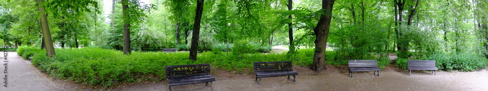 Park in spring time