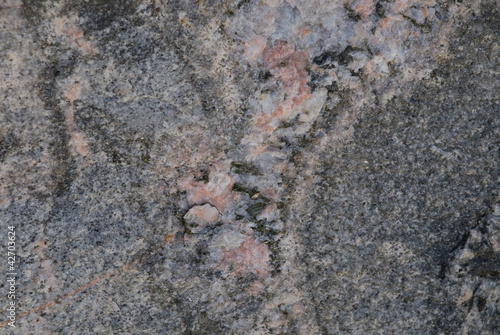Granit mit rosa-wei  en Einschl  ssen