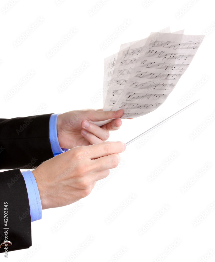Fototapeta premium Music conductor hands with baton and notes isolated on white