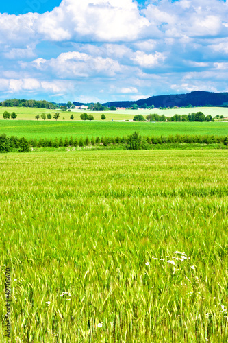 Barley fields and landscape