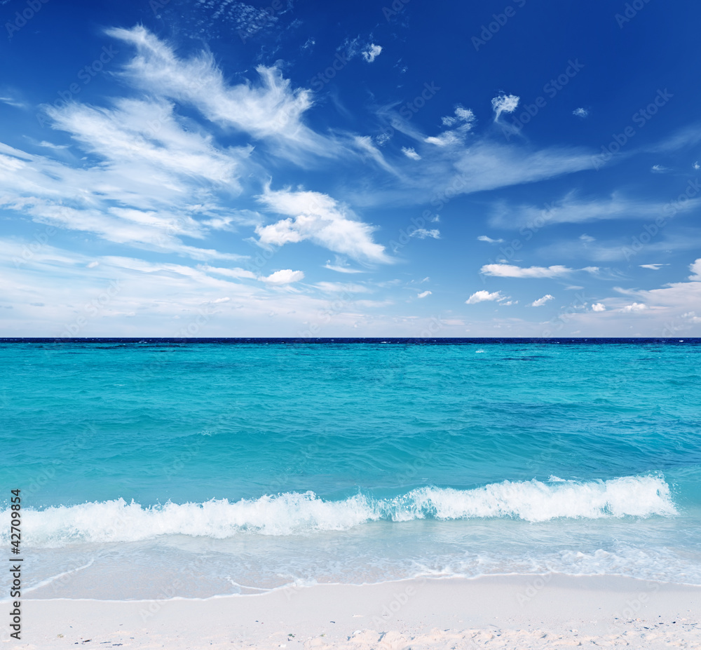 Fototapeta premium beach