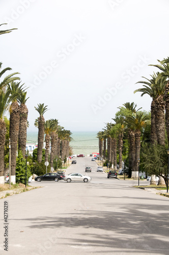 Rue Dag Hammarskjoeld Tunis Tunisia photo