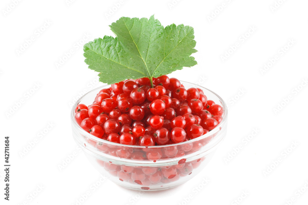 Red currant and green leaves in a glass bowl Red currant and green leaves in a glass bowl