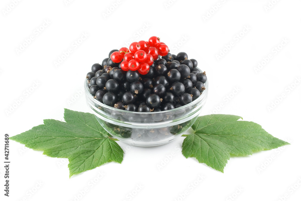 Black and Red currants in a glass bowl Black and Red currants in a glass bowl