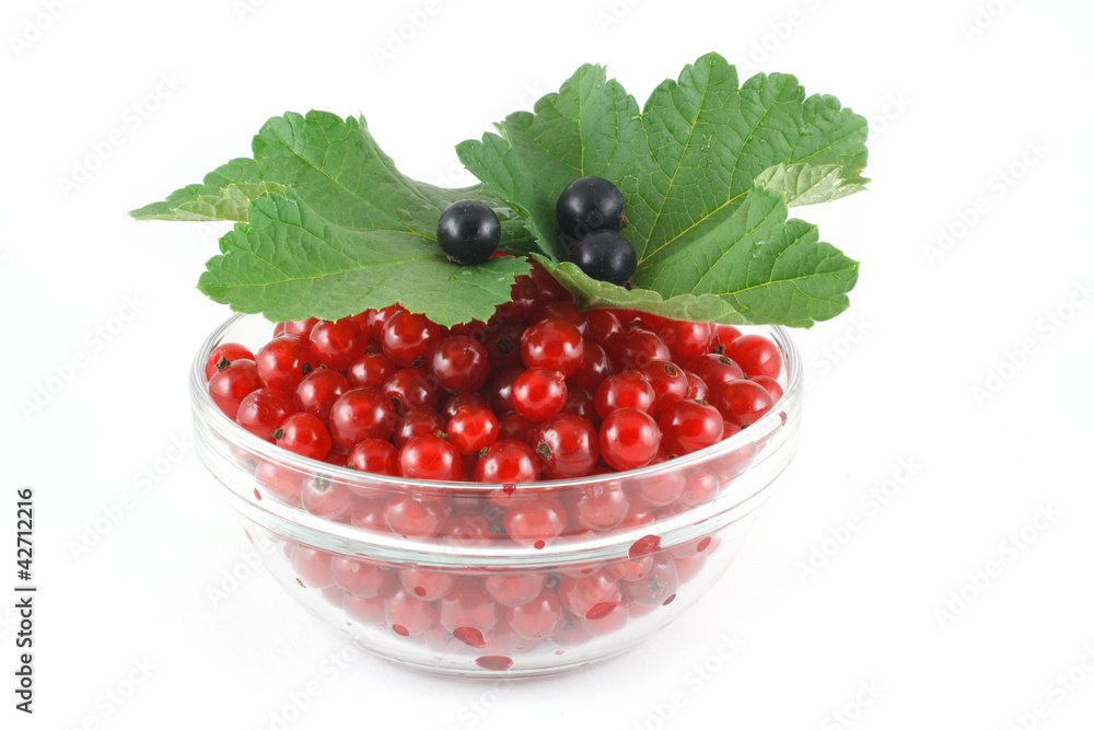 Many red currant and black currant three in a glass bowl Many red currant and black currant three in a glass bowl