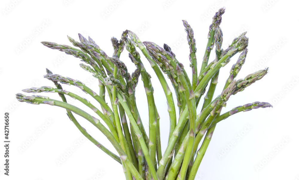 Fototapeta premium Esparragos trigueros