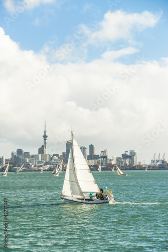 yachts racing in auckland harbour