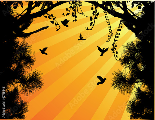 Nature Tree Silhouette With Bird Flying