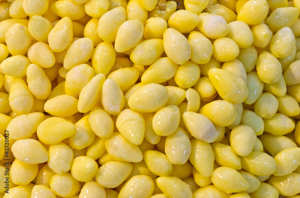 Gingko nuts (Ginkgo biloba) Sweet Ginkgo, Traditional Chinese de Gingko nuts (Ginkgo biloba) Sweet Ginkgo, Traditional Chinese de