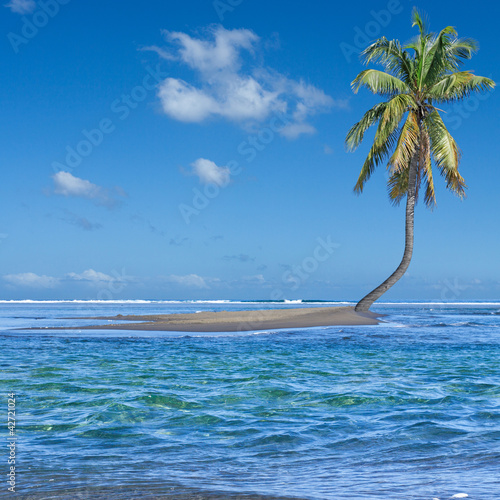 île cocotier