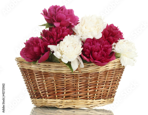 beautiful pink and white peonies in basket with bow isolated © Africa Studio