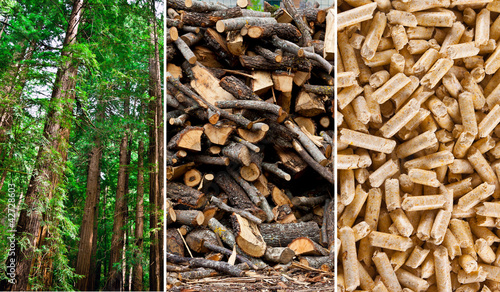 Wood pellet production collage #42728603