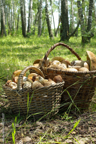 Two baskets of mushrooms