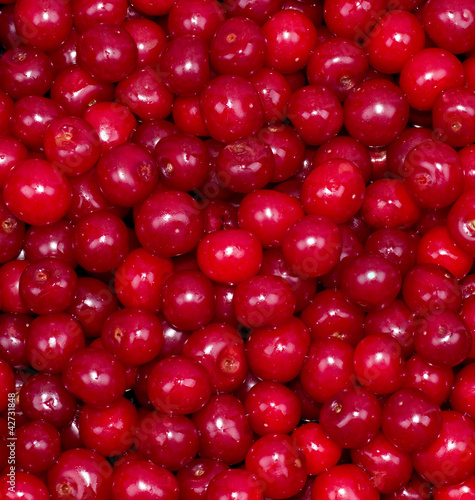 Red fresh cherry background