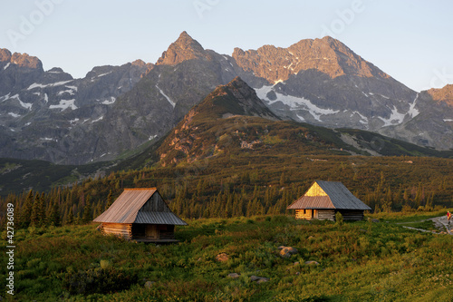 Polish Tatra mountains hala gąsienicowa