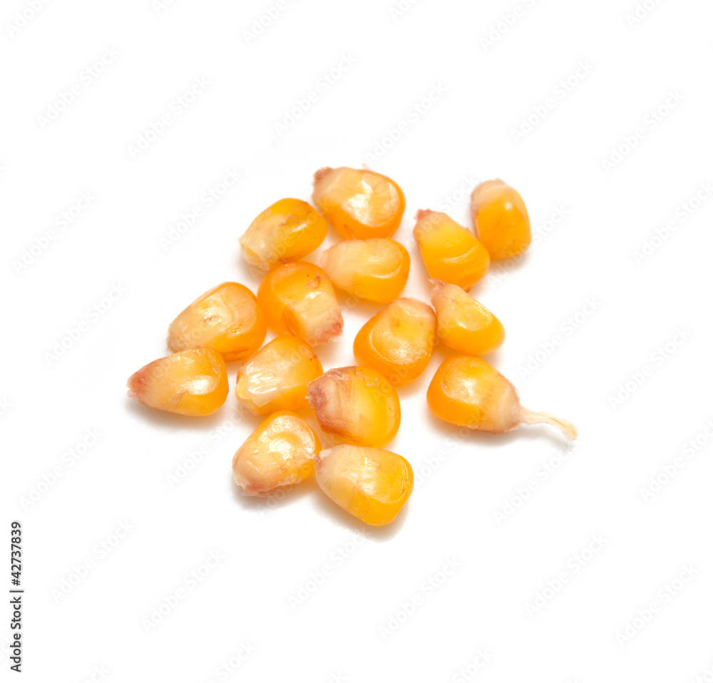 Fototapeta premium yellow corn grain on white background