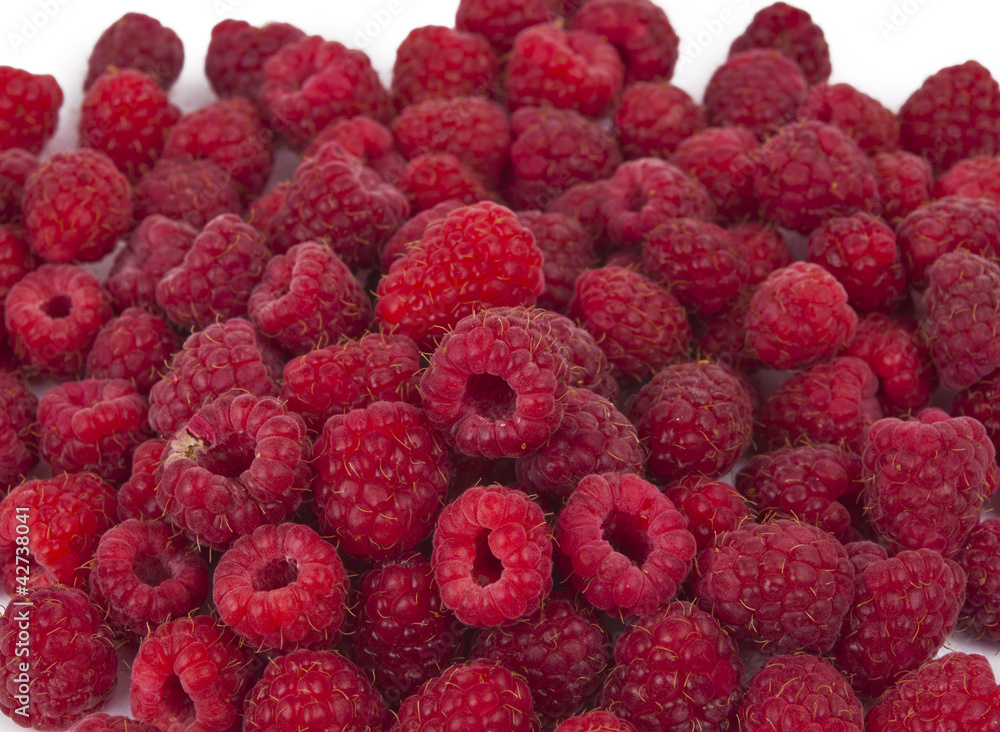 ripe raspberries isolated ripe raspberries isolated