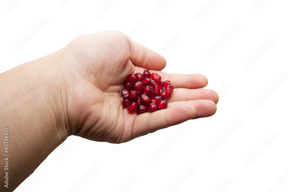 red pomegranate in his hand red pomegranate in his hand