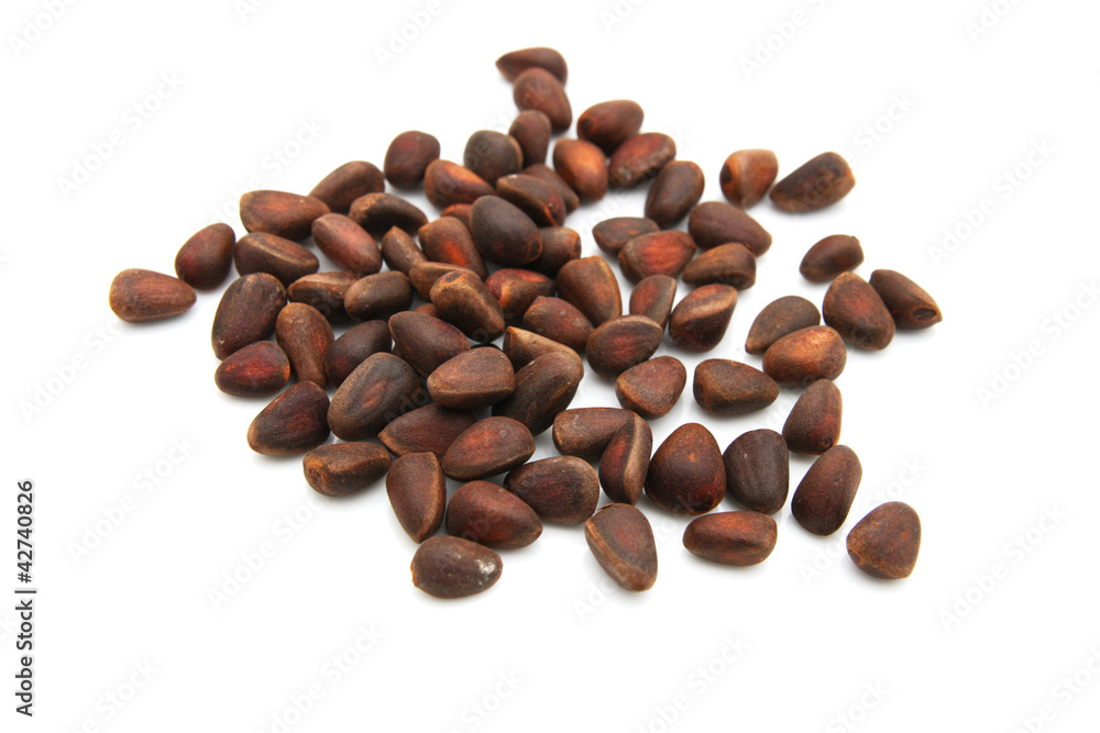 Obraz premium pine nuts on a white background
