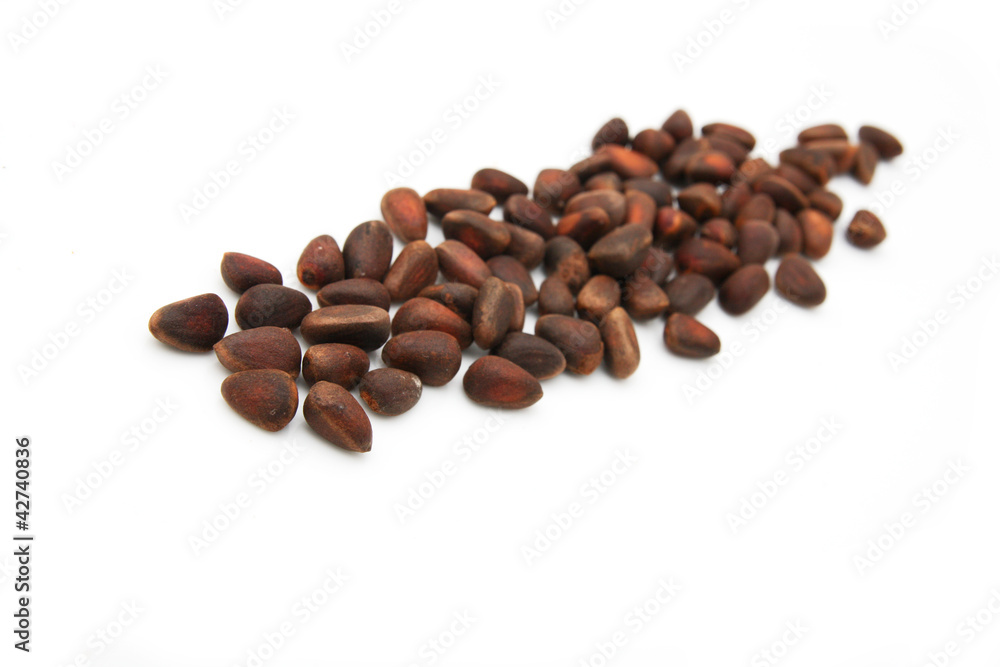 pine nuts on a white background pine nuts on a white background