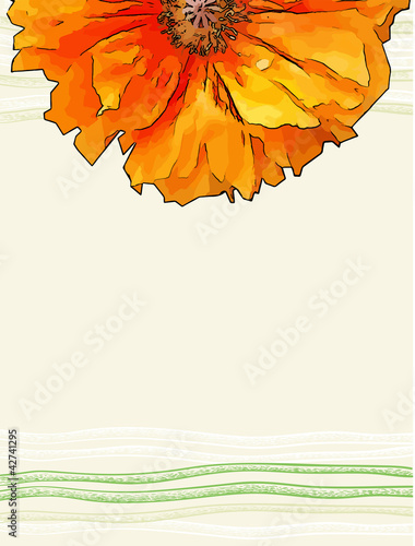 vector background with red poppy flower
