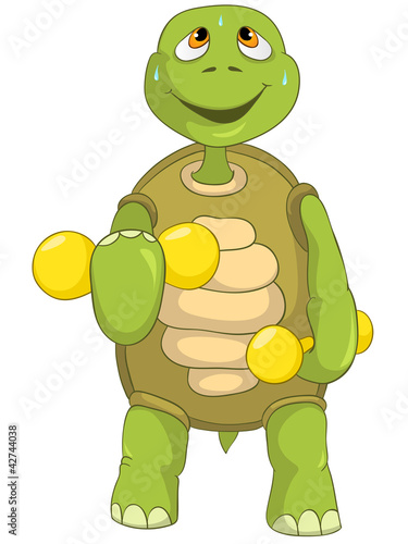 Funny Turtle. Gym.